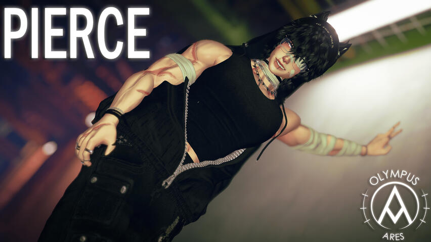 Pierce by Aries